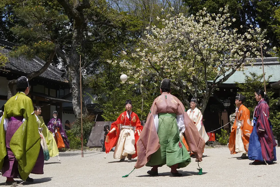 白峯神宮　春季例大祭　蹴鞠奉納.JPG