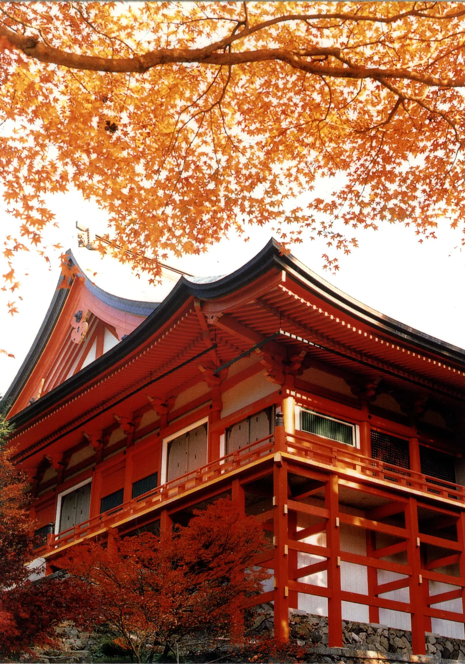 【比叡山延暦寺】紅葉