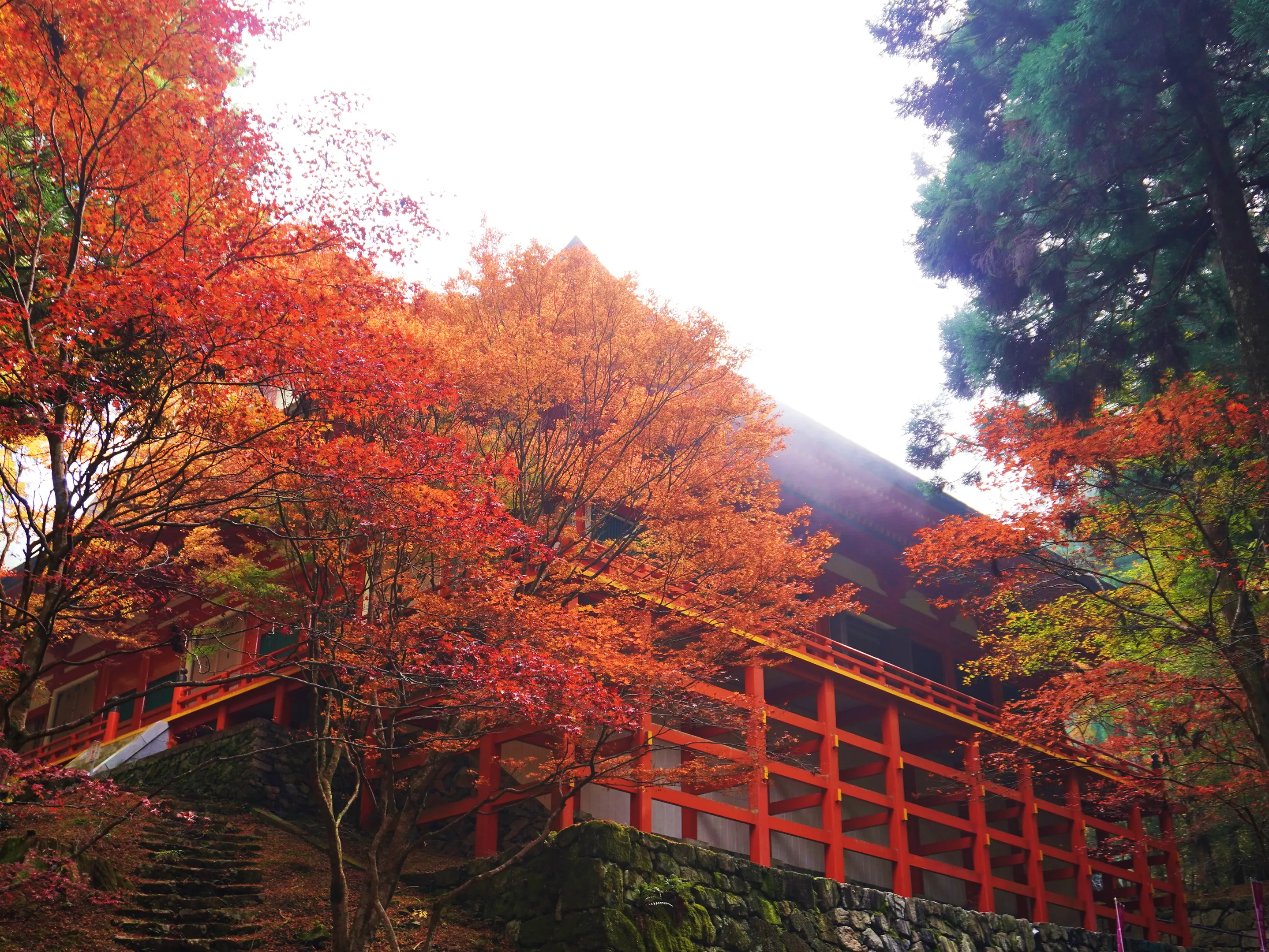 【比叡山延暦寺】紅葉